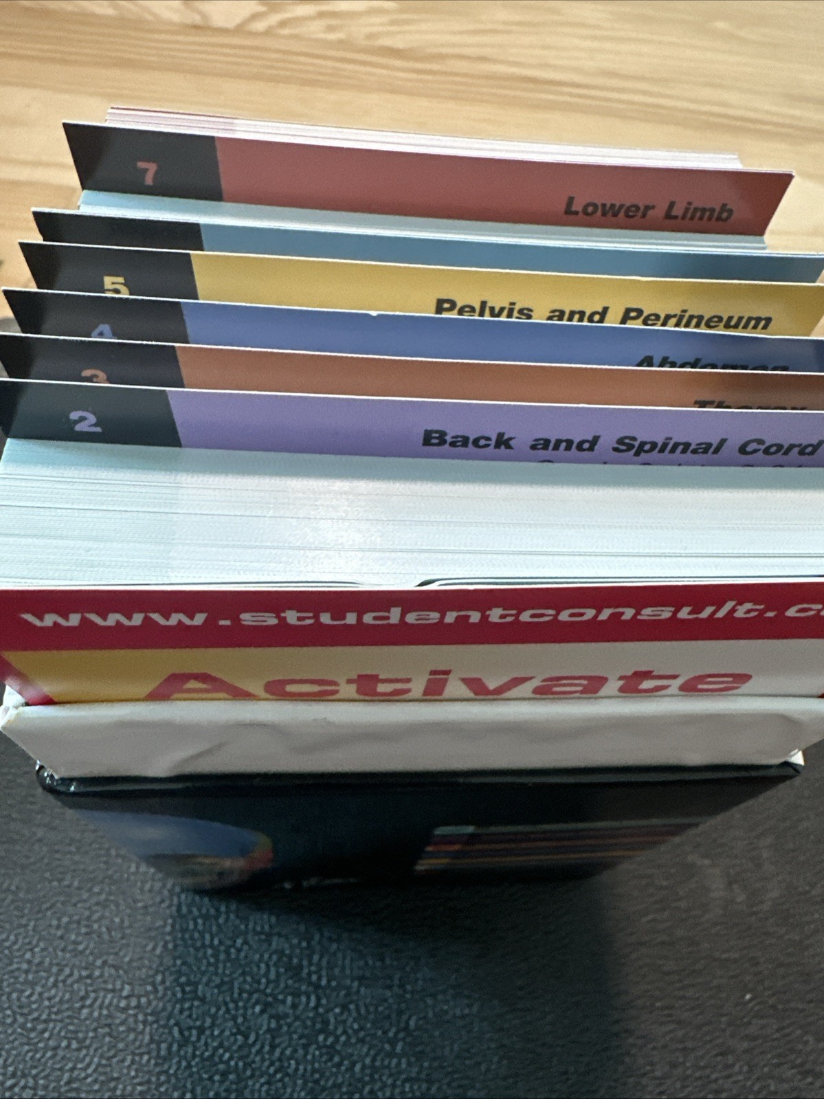 Netter's Anatomy Flash Cards 3rd Edition
