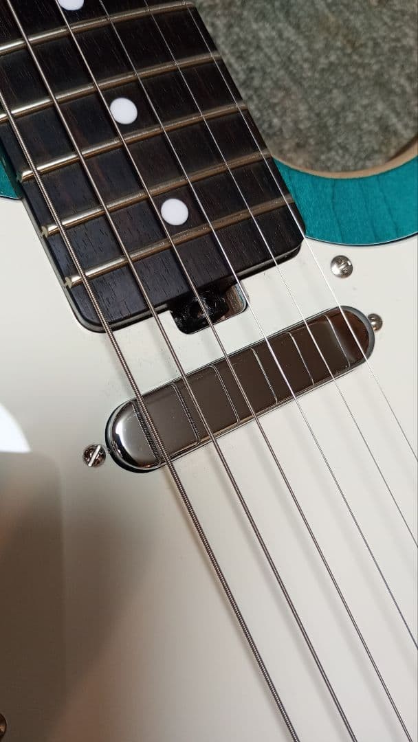 Offset Telecaster Telemasterlacquer Painting