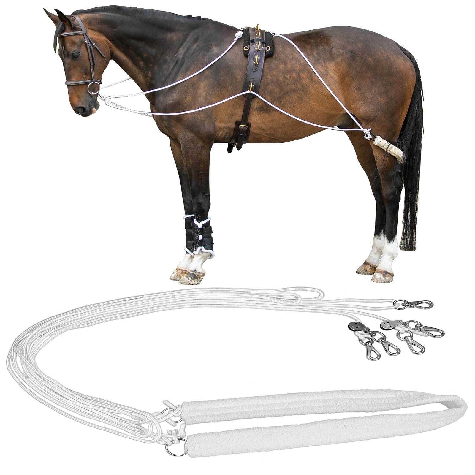 Shinylin Horse Training Equipment Leaders Training and Lunging Aid Adjustable