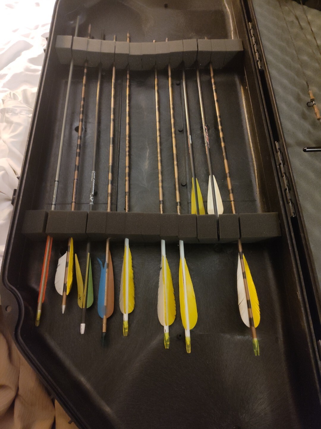 Darton Compound Bow w/Case