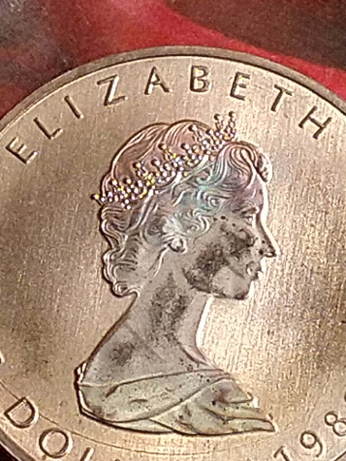 1989 $5 **SILVER** CANADA MAPLE LEAF QUEEN ELIZABETH IN ORIGINAL PLASTIC CASING
