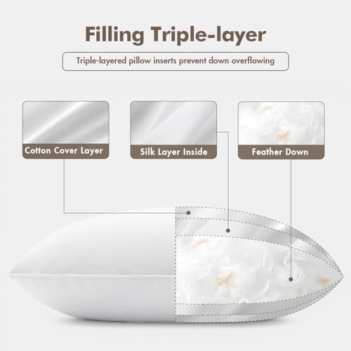 0x0 Pillow Inserts, Pack of Down Feather Premium Throw 20x20 Inch (Pack of 2) 2