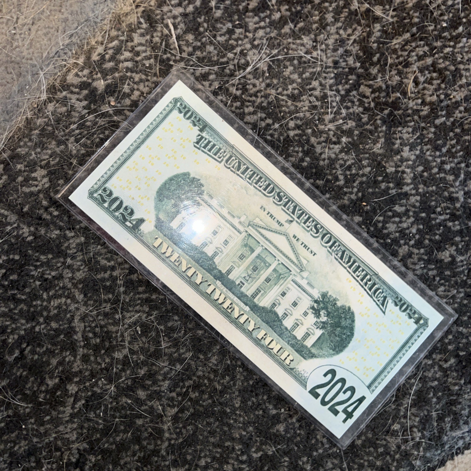 2024 $20 Trump Bill