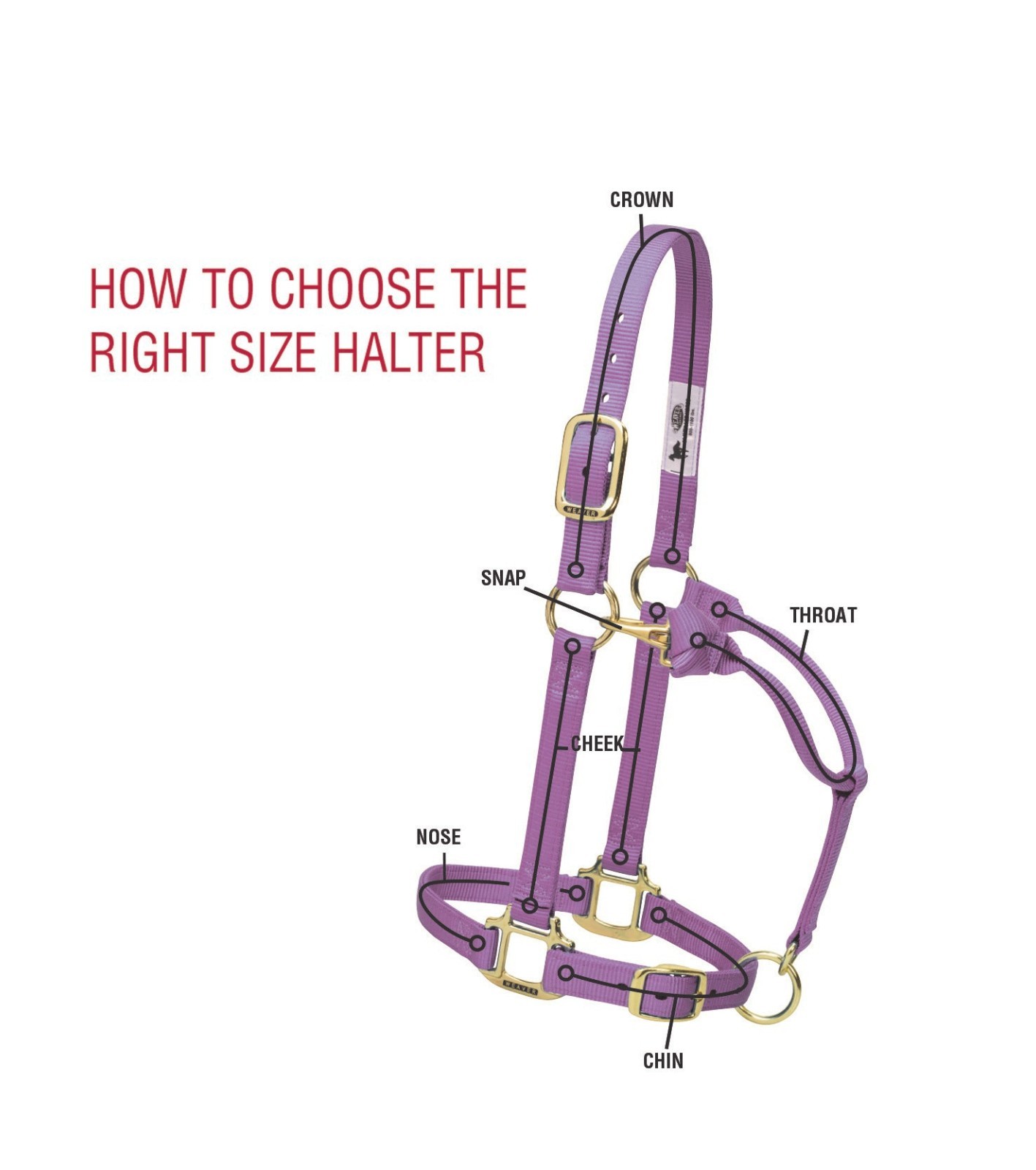 Original Non-Adjustable Halter , 1" Orange