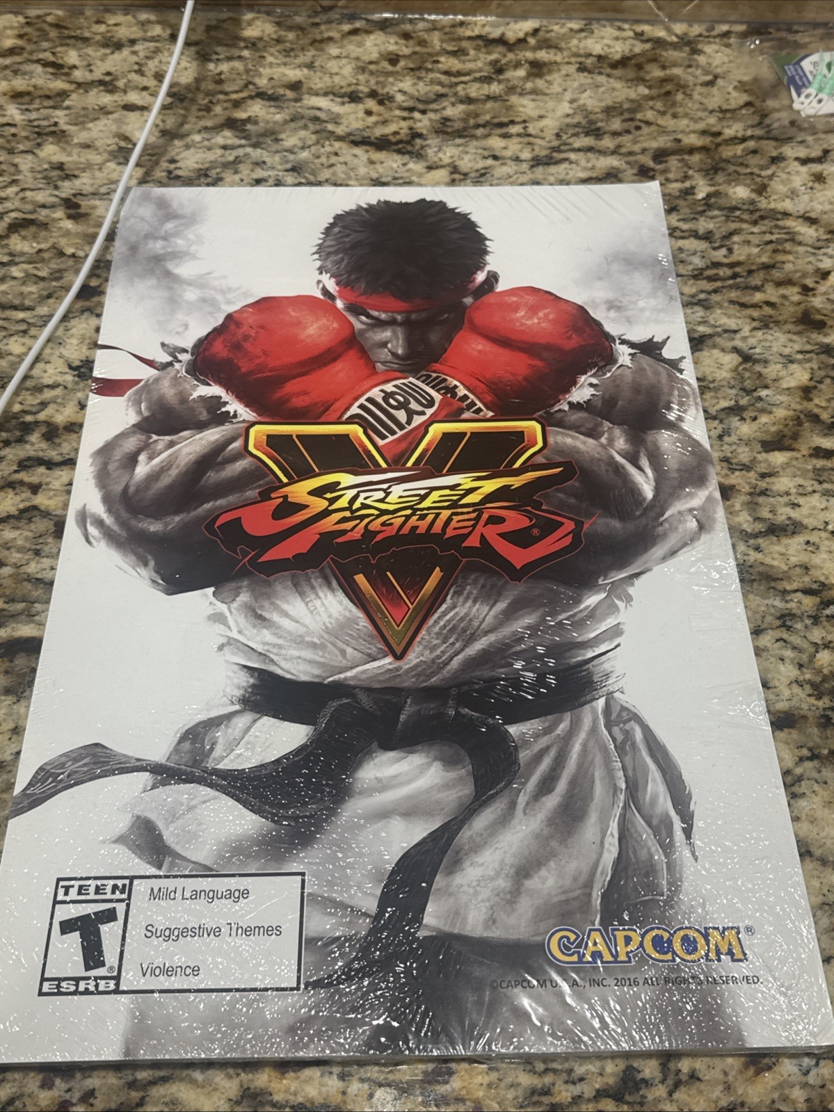 PLAYSTATION 4 PROMO VIDEO GAME POSTER STREET FIGHTER 5 (V) 2-SIDED POSTER NEW