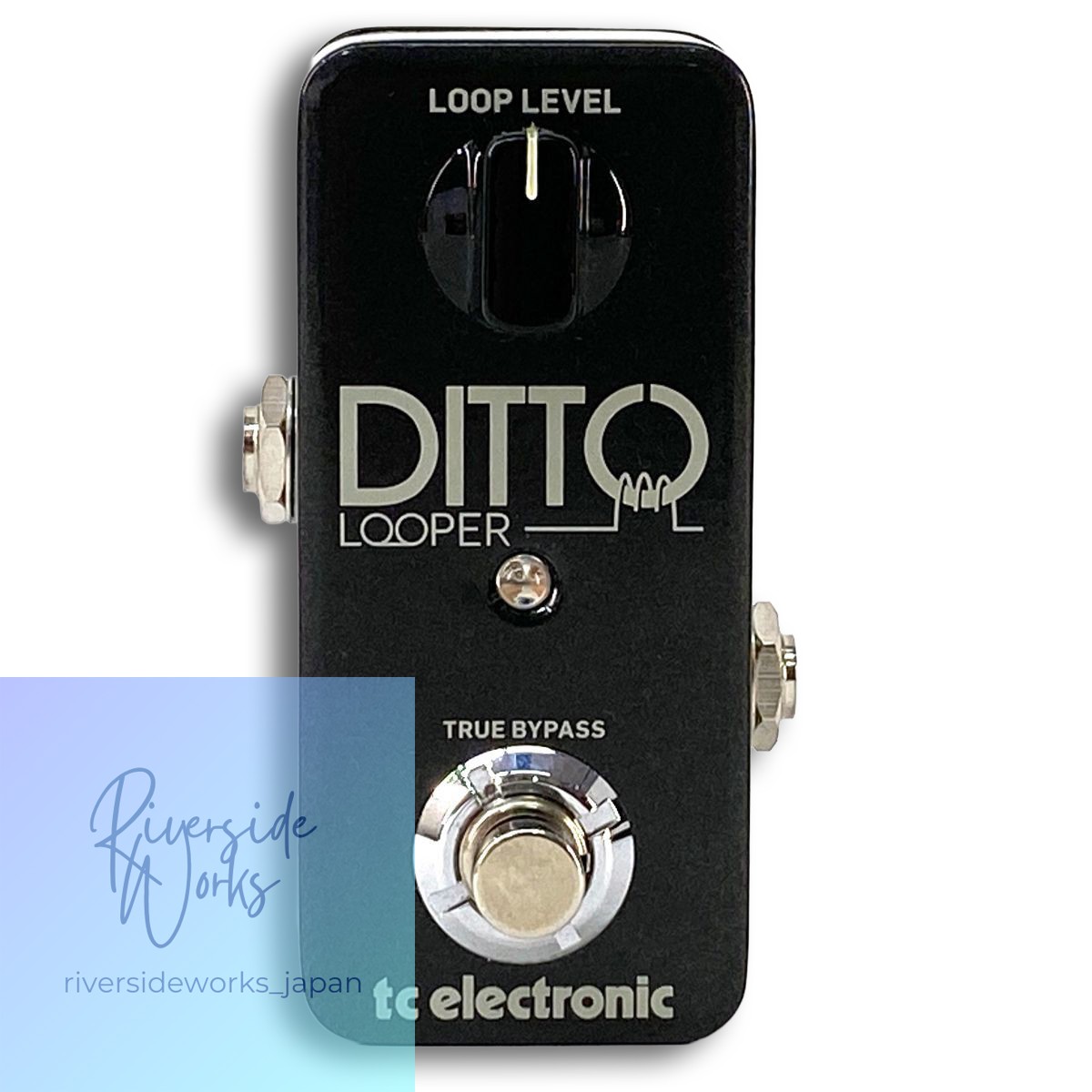 tc electronic DITTO LOOPER Guitar Effect Pedal Used