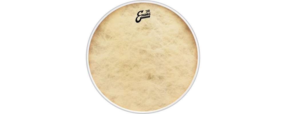 Evans Calftone Bass Drum Head 26 in.