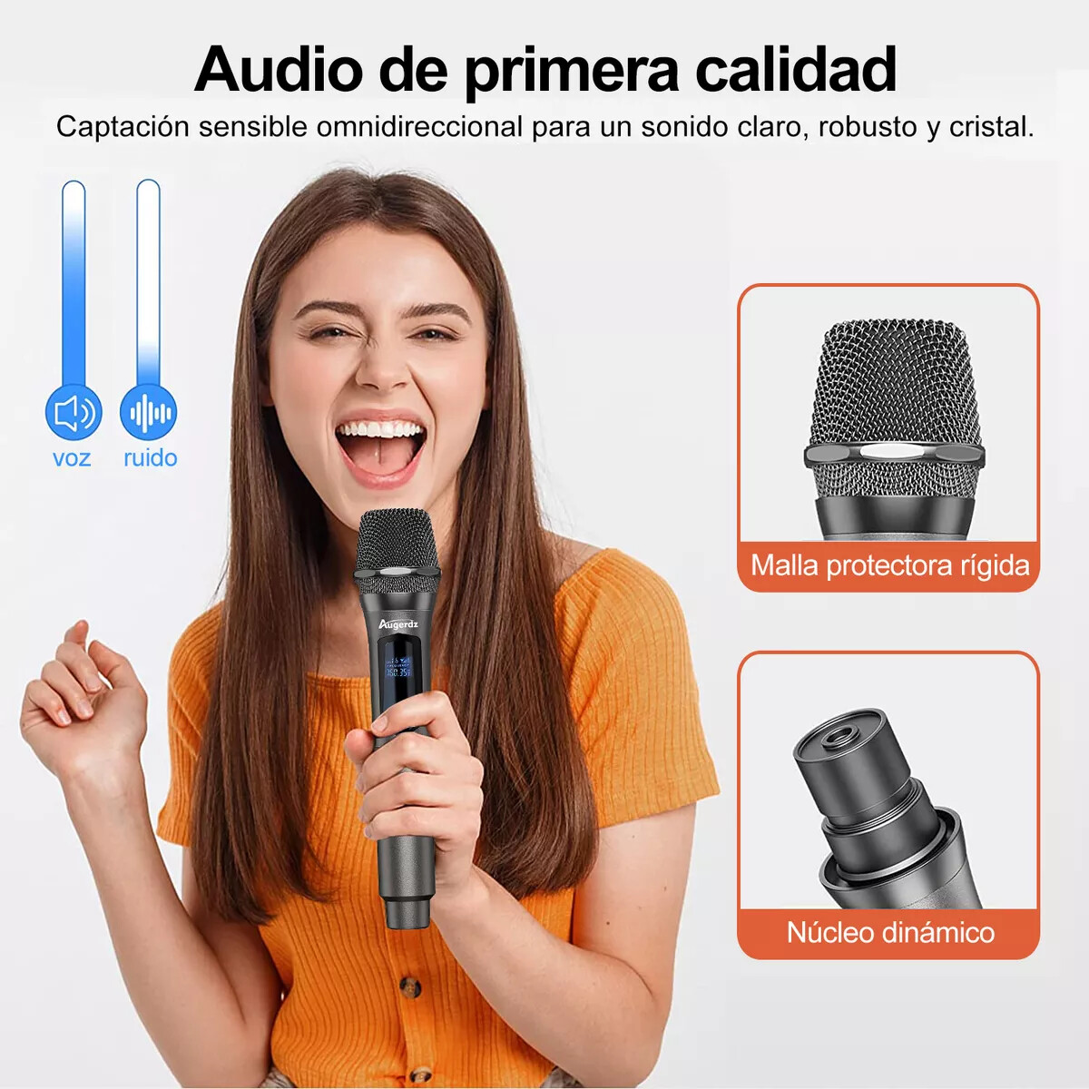 Pro UHF Wireless Microphone System Set Dual Handheld Rechargeable Karaoke Gift