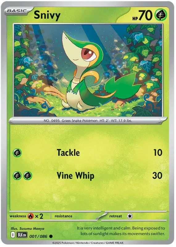 Pokemon Black Bolt You Pick Holo, Reverse Holo, Ex