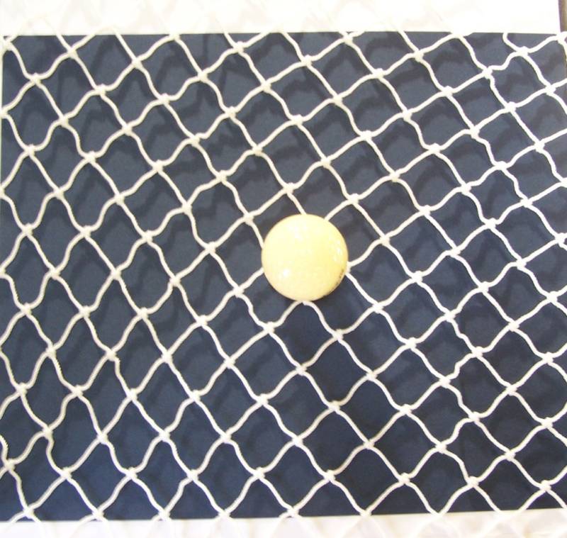 10' x 11' Heavy Duty Golf, Hockey, Lacrosse, Sports Hard Drive Netting 1" #30