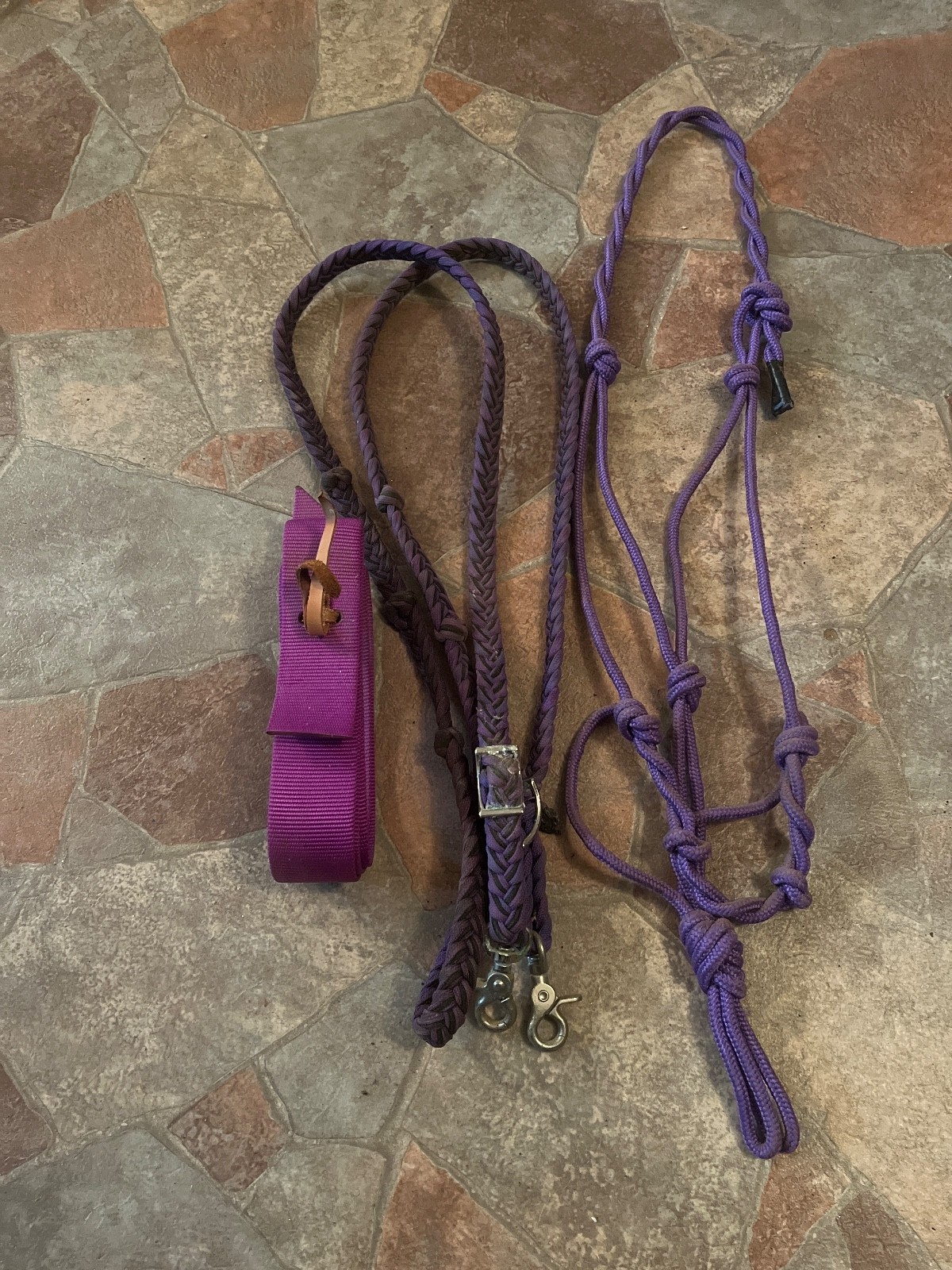 Lot of Purple Horse Tack 3 Pieces Nylon Latigo, 7 Ft Reigns, and Purple Halter