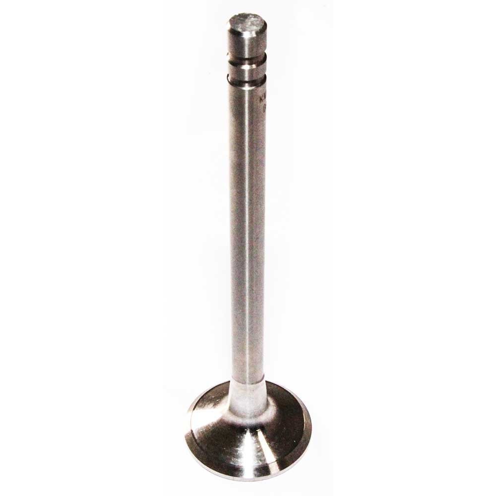 87800340 Pack of 2 EXHAUST VALVE Suitable For FORD NEW HOLLAND Shipping from Tex