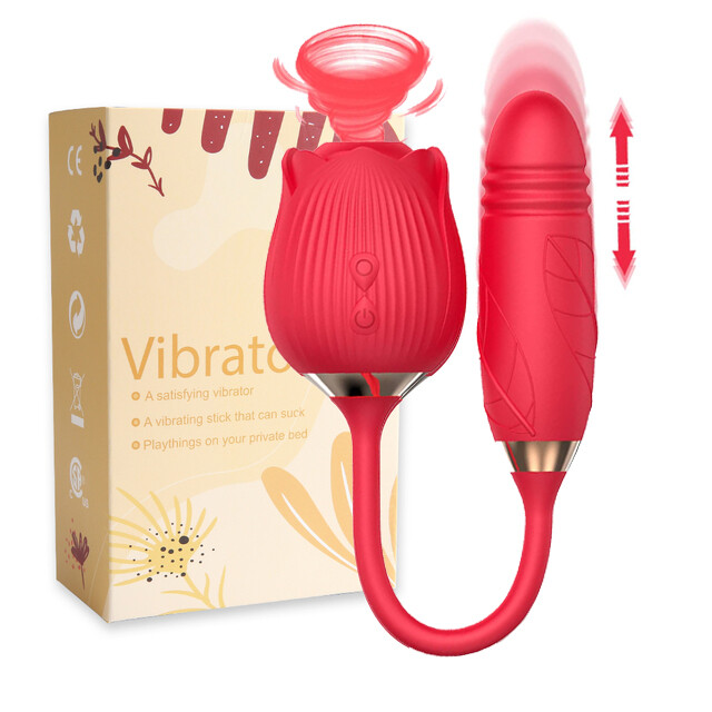 2in1-Rechargeable-Women-Rose-Massage-Vibration-Sucker-Thrusting-Use-Lubricant