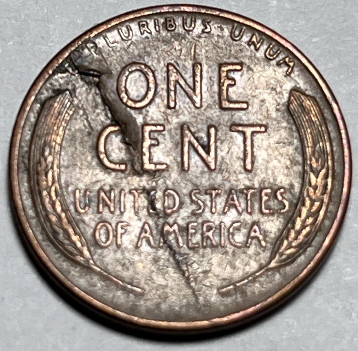 1958 D Wheat Penny Errors Long Lamination Error Reverse