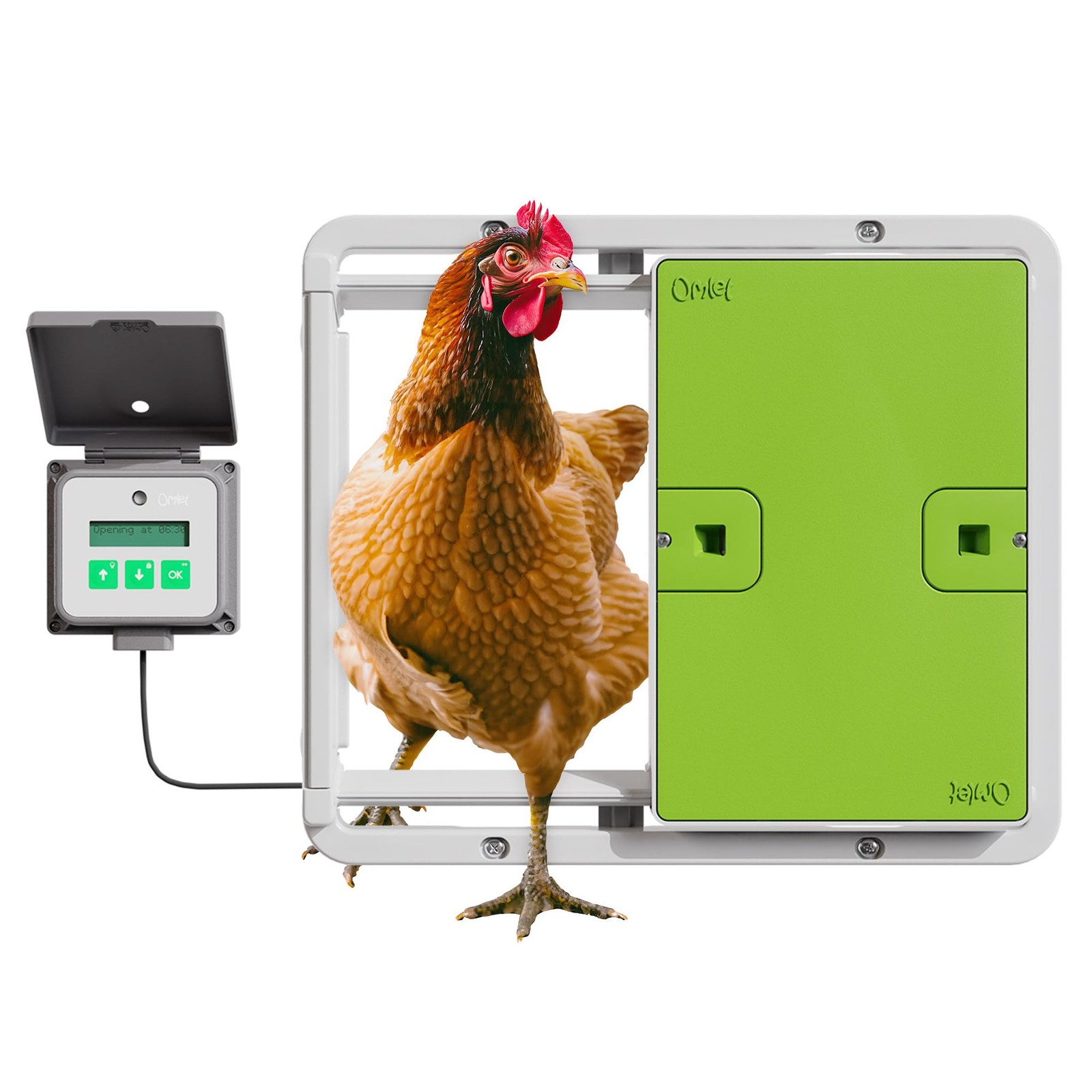 Omlet Automatic Chicken Coop Door Opener Operated By Light Sensor Or Timer Easy