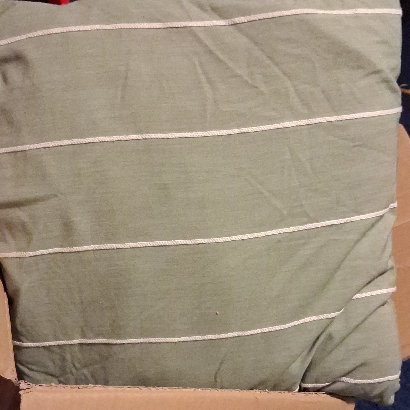 Decorative Pillow Green White Striped Square Accent Modern Pre-owned