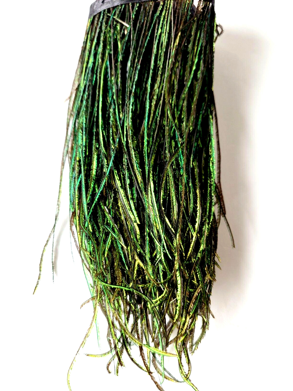 STRUNG PEACOCK HERL - Fly Tying Feathers - 6-8 In. Long - Natural Green - NEW!