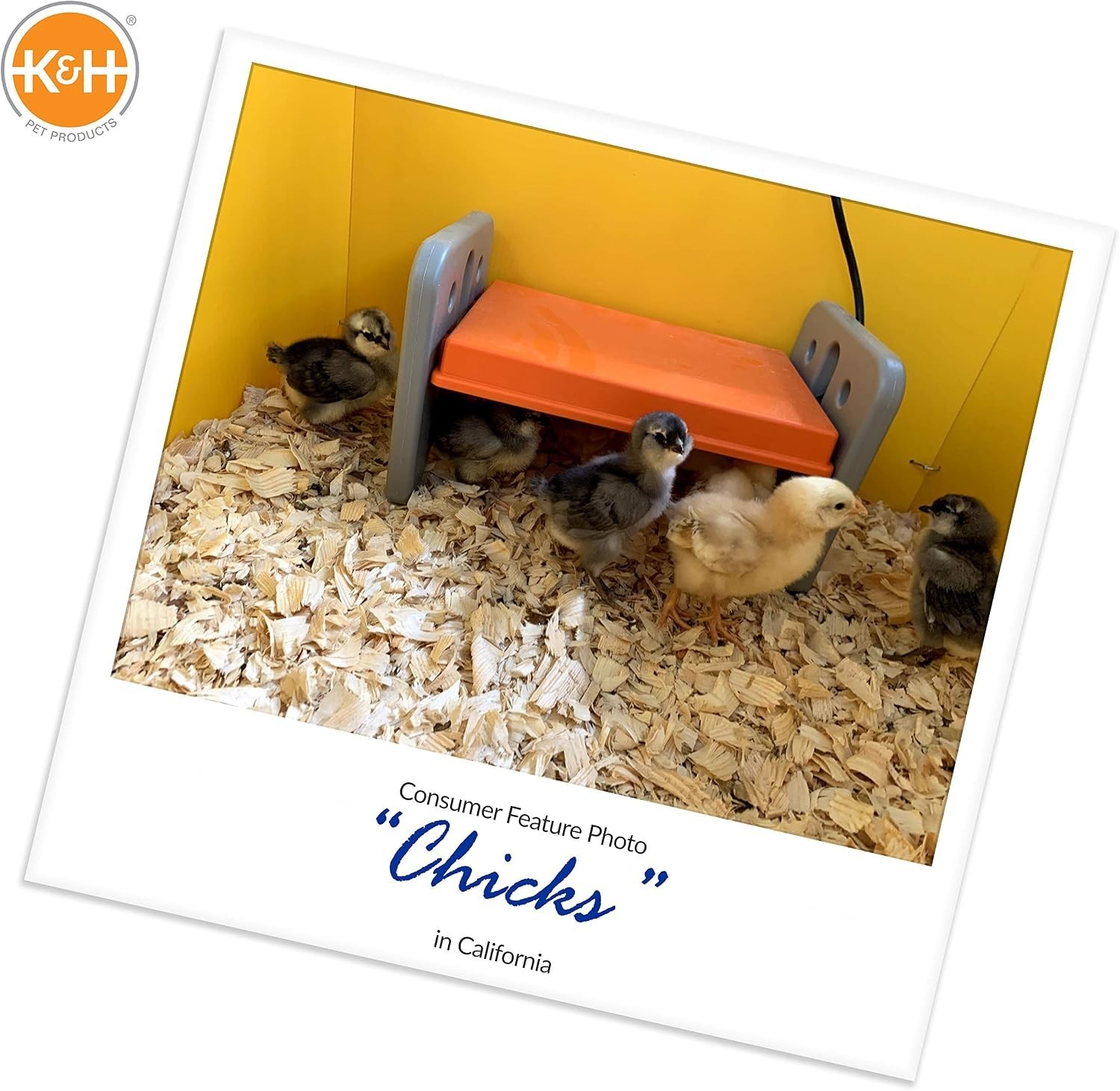 Chicken Brooder Heater for Chicks Ducklings, Adjustable Heating Plate for Bro...