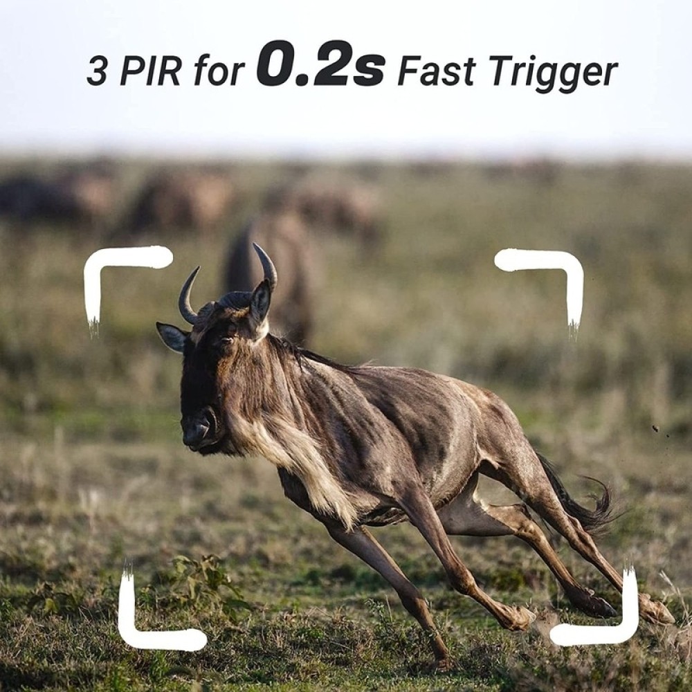 Hunting Camera with WiFi, 4K Video & 24MP Photos - Game Trail Cam, Night Vision