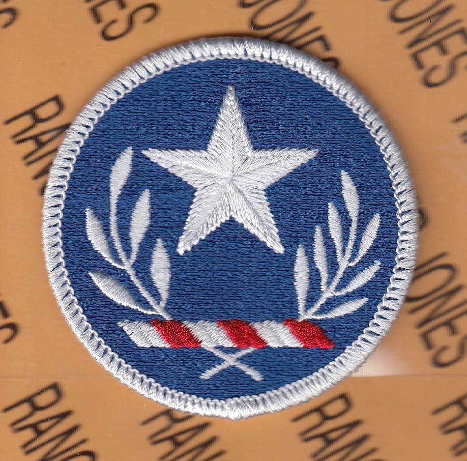 US Army Texas National Guard ARNG Dress uniform patch m/e