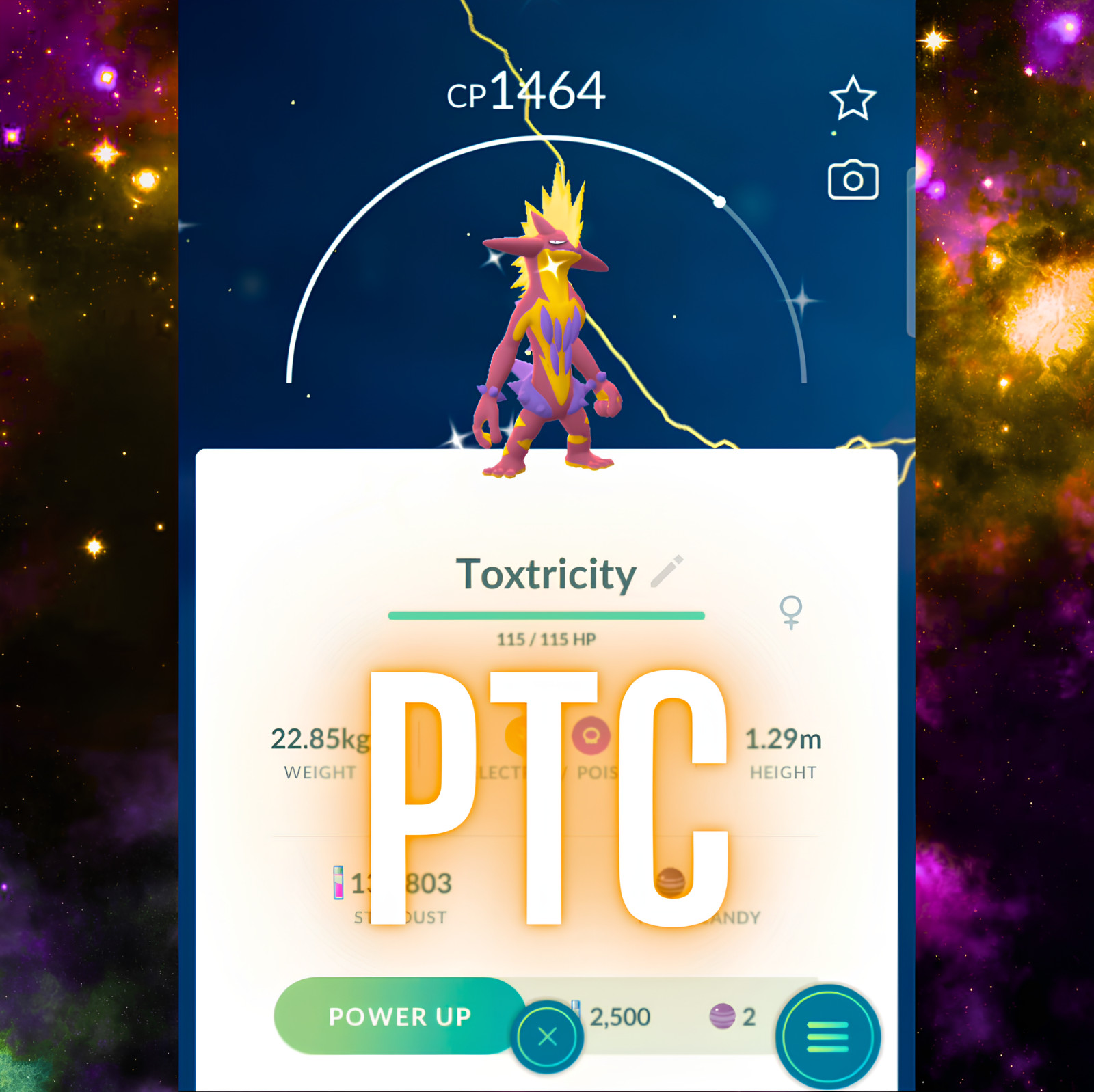Pokémon Shiny Toxtricity Amped or Lowkey | mini PTC | Go ✨