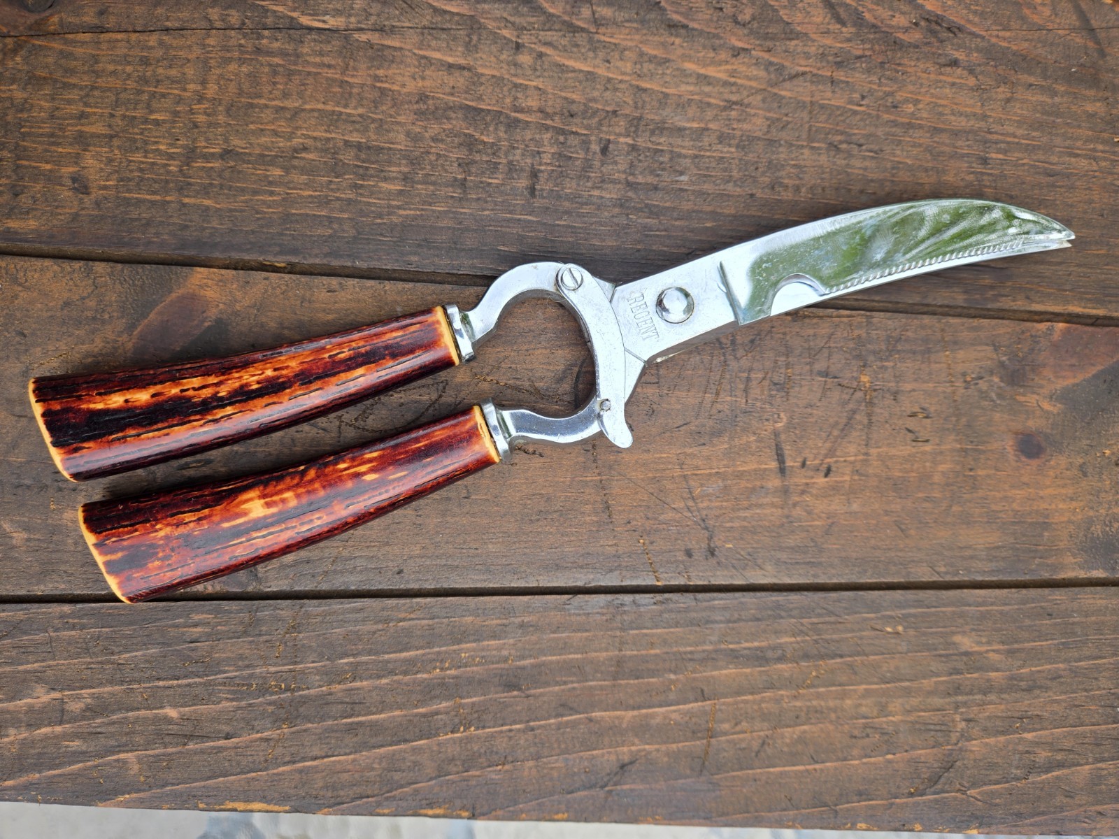 VTG REGENT Sheffield Hunter Game Shears Hot Drop Forged Steel Made in Italy EUC