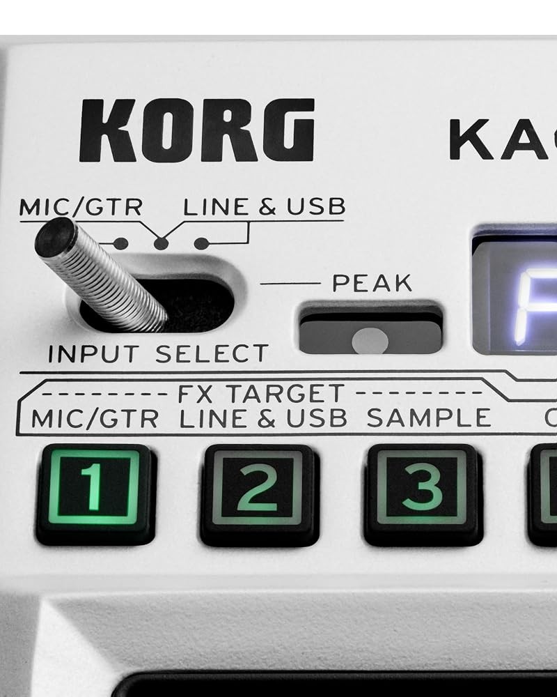 KORG KAOSS PAD V Dynamic Effects Sampler Dual Touch Voice FX Japan Import