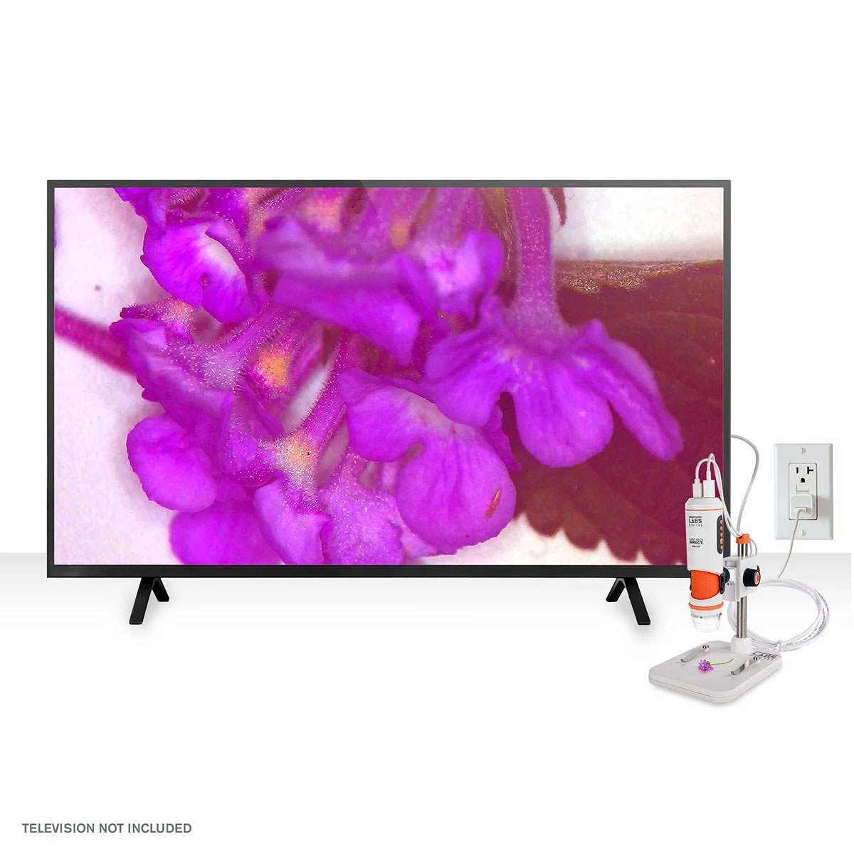 Celestron Labs Digital MicroDirect Microscope