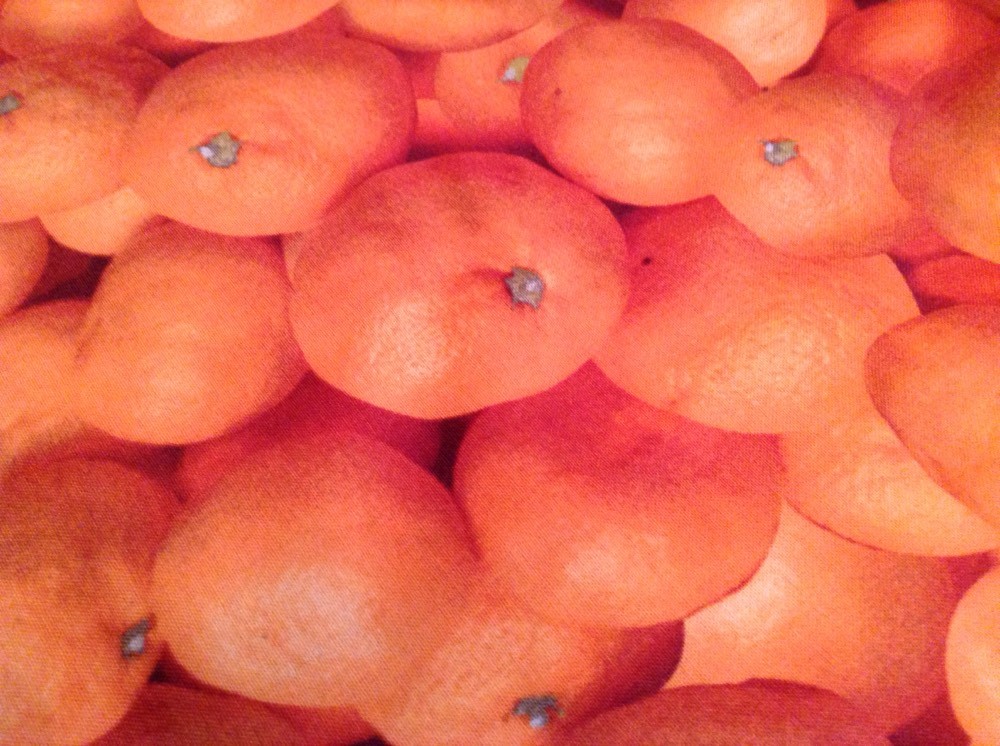 Fabric Farmers Market Oranges 0886, sold by the yard