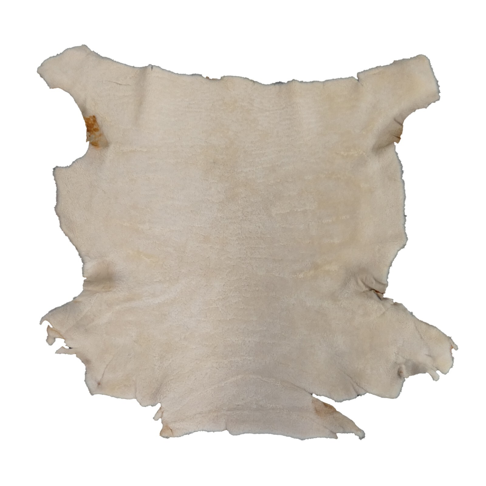 Glacier Wear Champagne White Shearling - Copper Back - shp4058