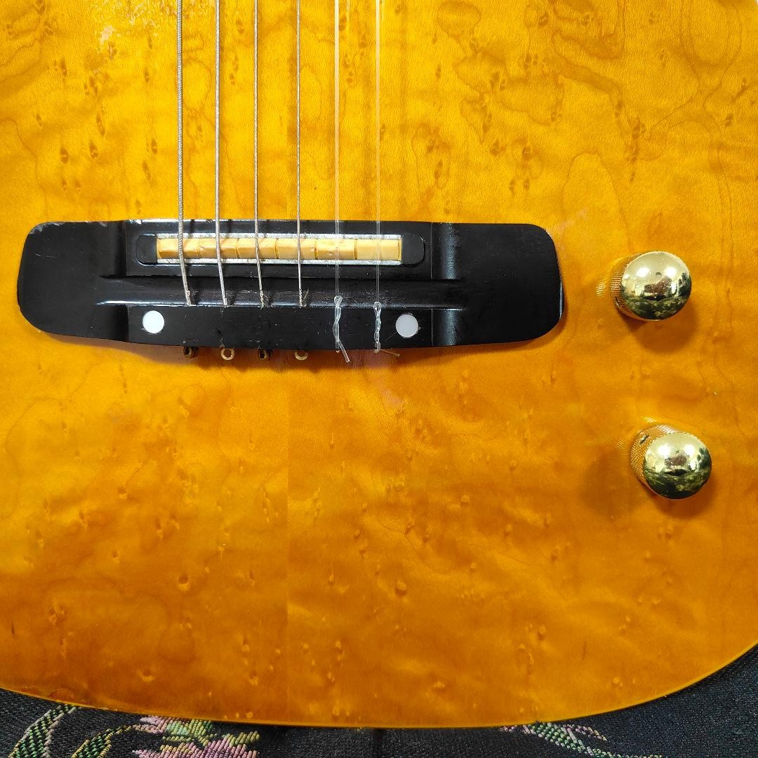 Groovin' By Morris Tg-60 Solid Elegat