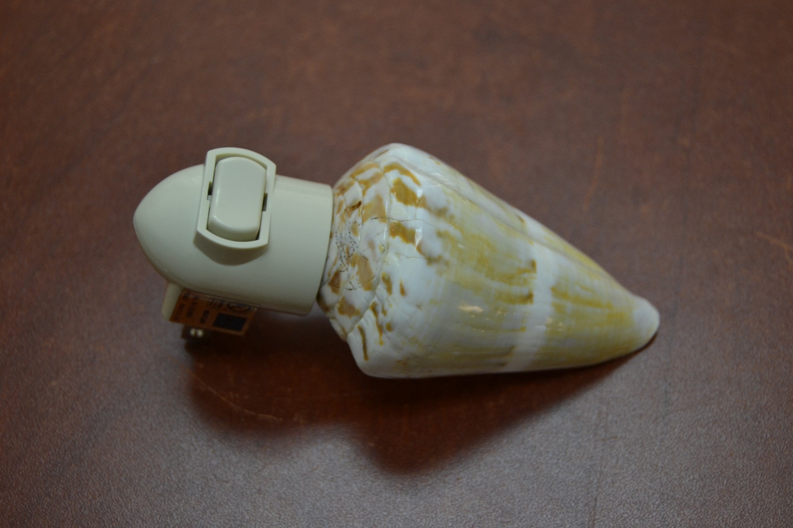 OLIVE GREEN CONE SEA SHELL NIGHT LIGHT BATHROOM KITCHEN #7255