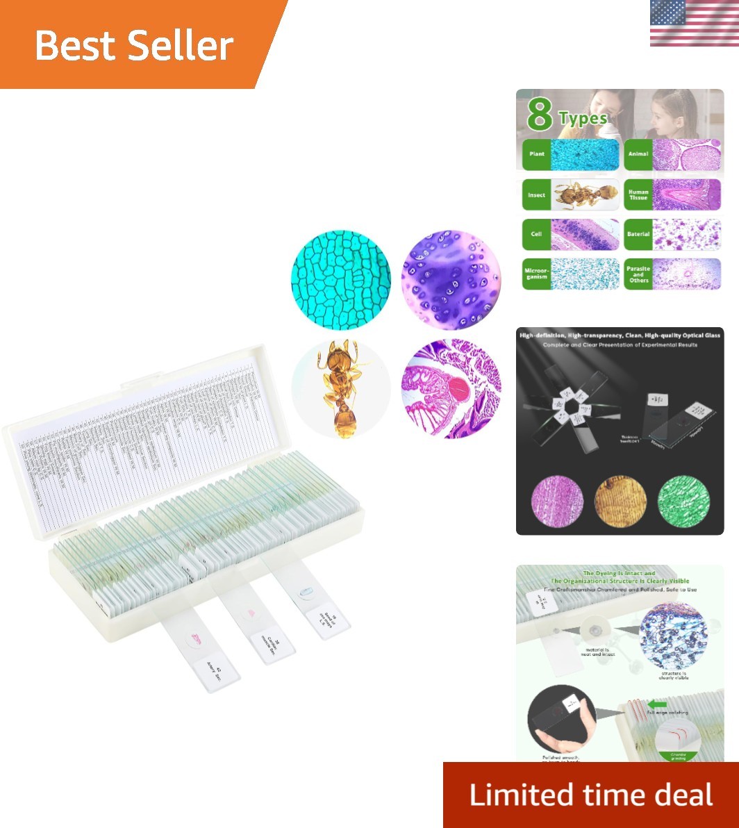 60  Prepared Microscope Slides for Kids - Safe & Educational Science Kit