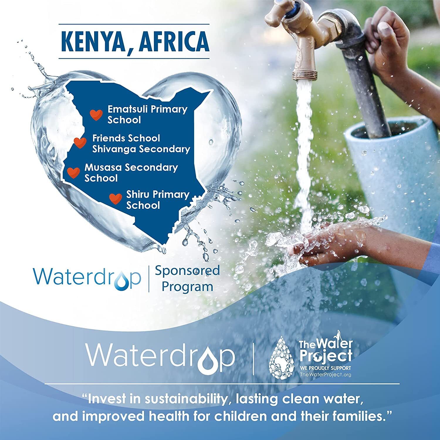 Waterdrop WF2CB Water Filter, Replacement for PureSource2, fc100, ngfc 2000