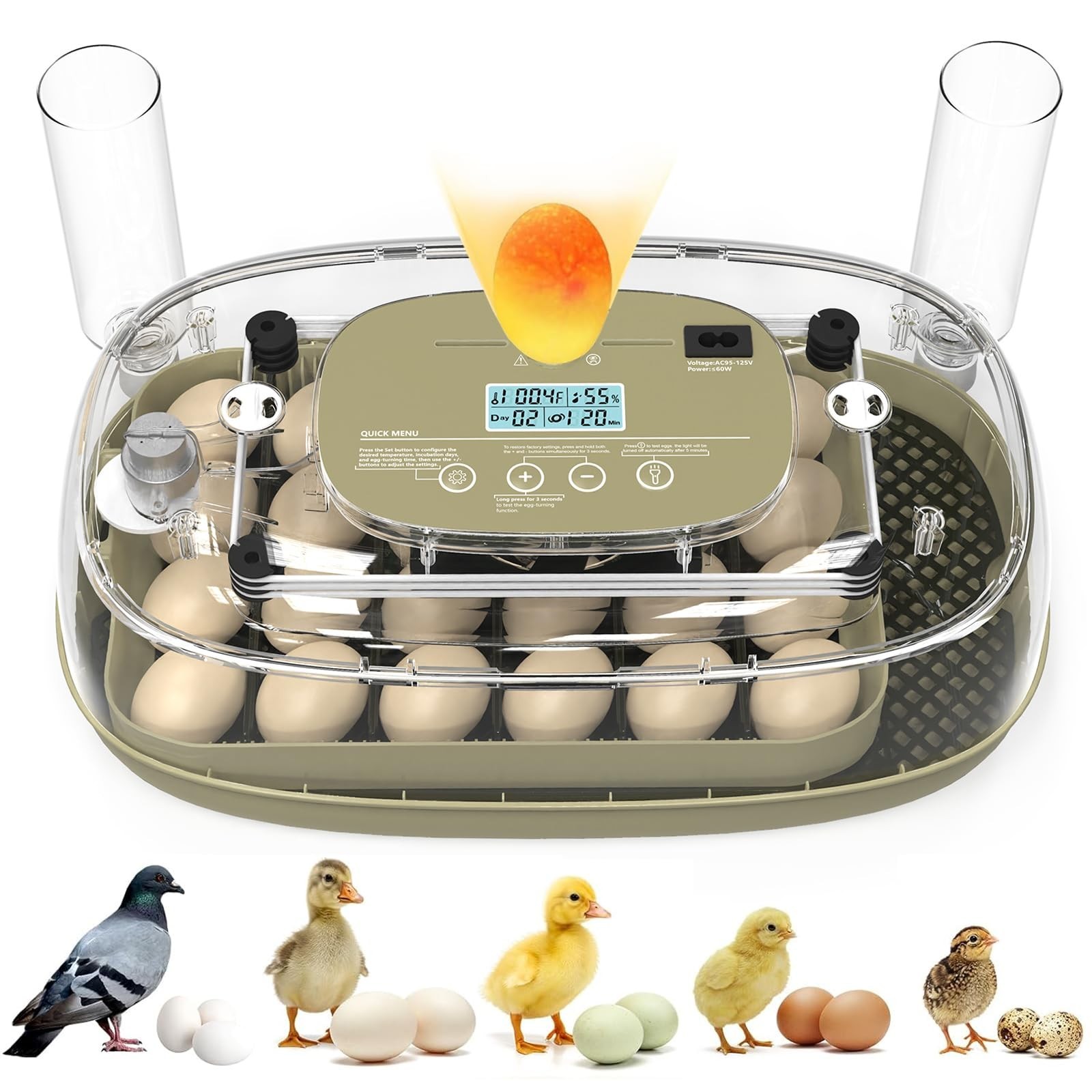 24 Egg Incubator, Incubators for Hatching Eggs with Fully Automatic Turner & ...