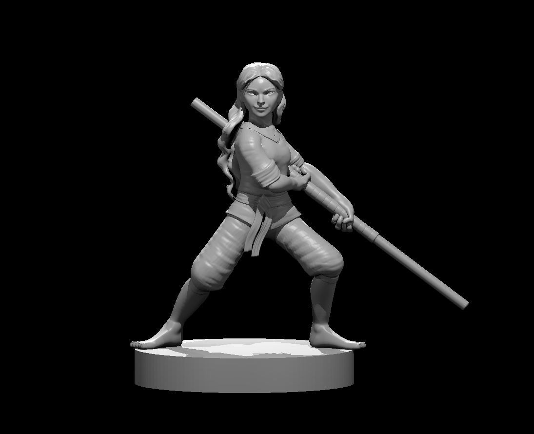 Halfling Female Monk Fighter Adventurer NPC 28mm Scale DND D&D Tabletop Mini