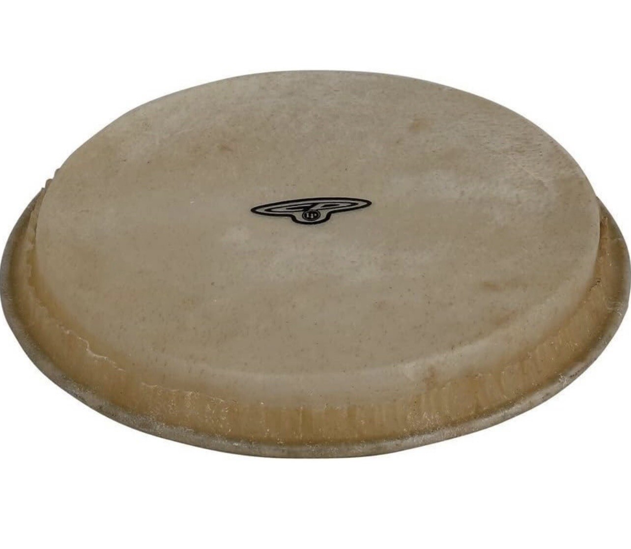Latin Percussion CP221B   Replacement Bongo Head for CP221 Bongo Large HEAD