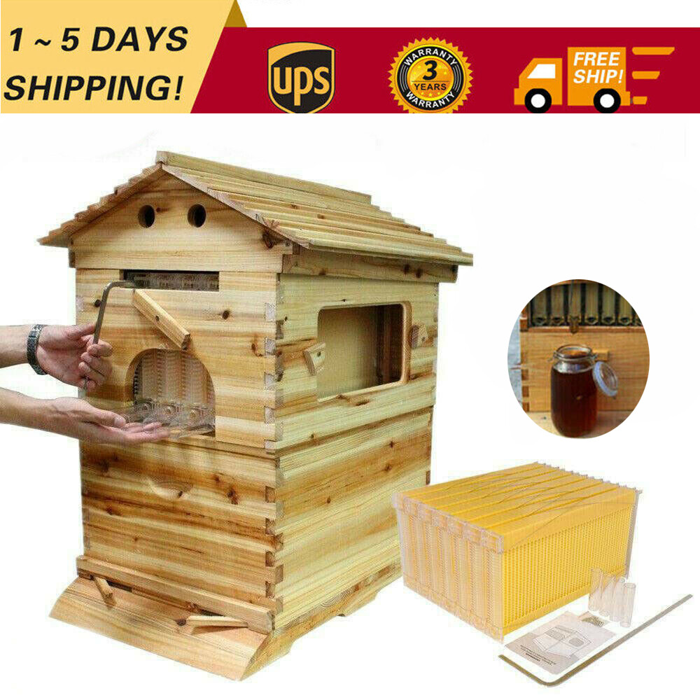 Auto Oozing Honey Bee hive Box 7X Auto Honey Hive Beehive Frames Beekeeping