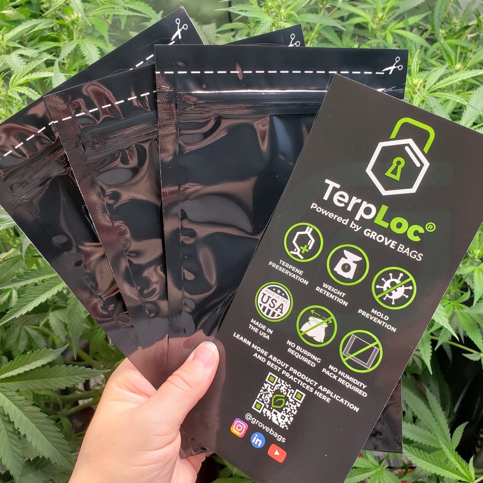 🌿 Grove Bags TerpLoc for Curing (Qty 1, 3, 10) 1/2 oz  half ounce USA 🌿