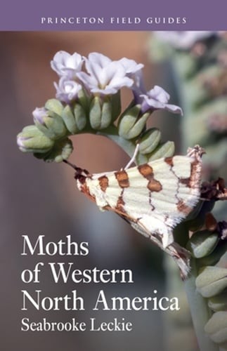 Moths of Western North America by Seabrooke Leckie: New