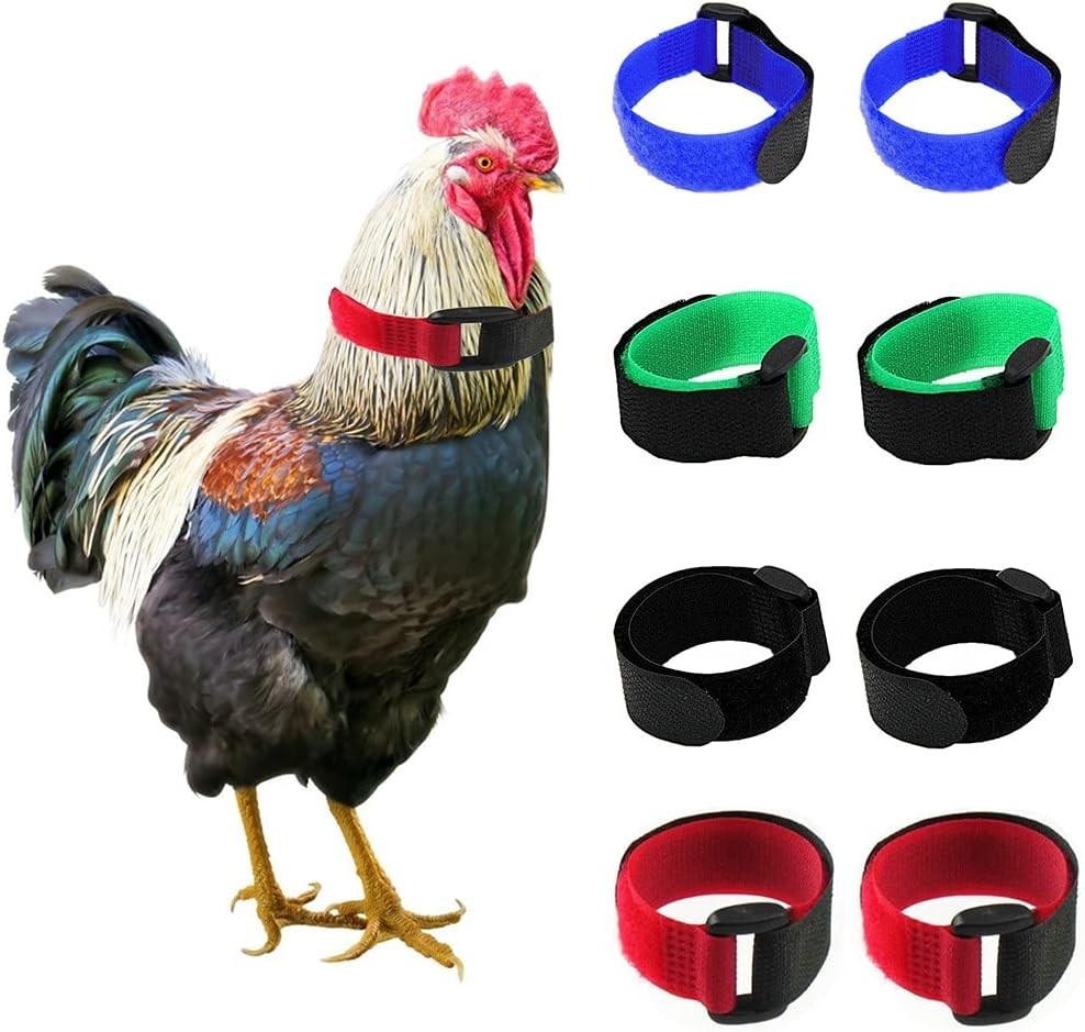 8 Pack No Crow Rooster, Chicken Collar Noise Free Neckband Anti Hook Belt New US