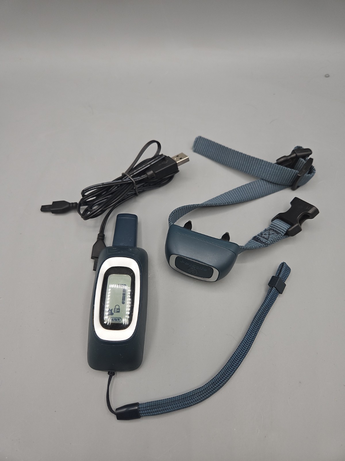 PetSafe 300 Yard Remote Trainer E Collar (PDT00-16117)