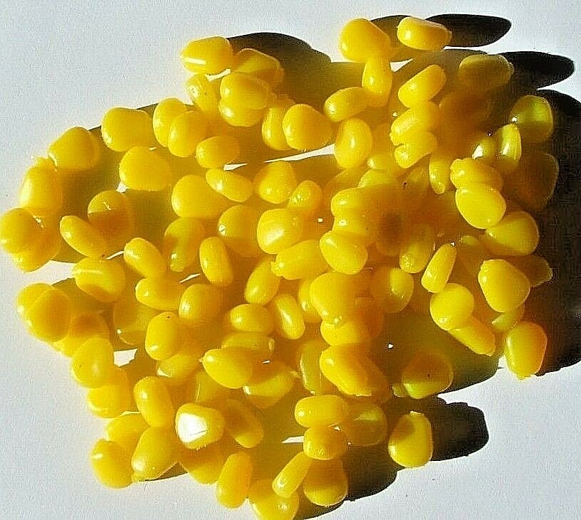 Fake Imitation Sweetcorn 20 Pieces Highly Flavoured Carp Hookbaits Scopex Squid