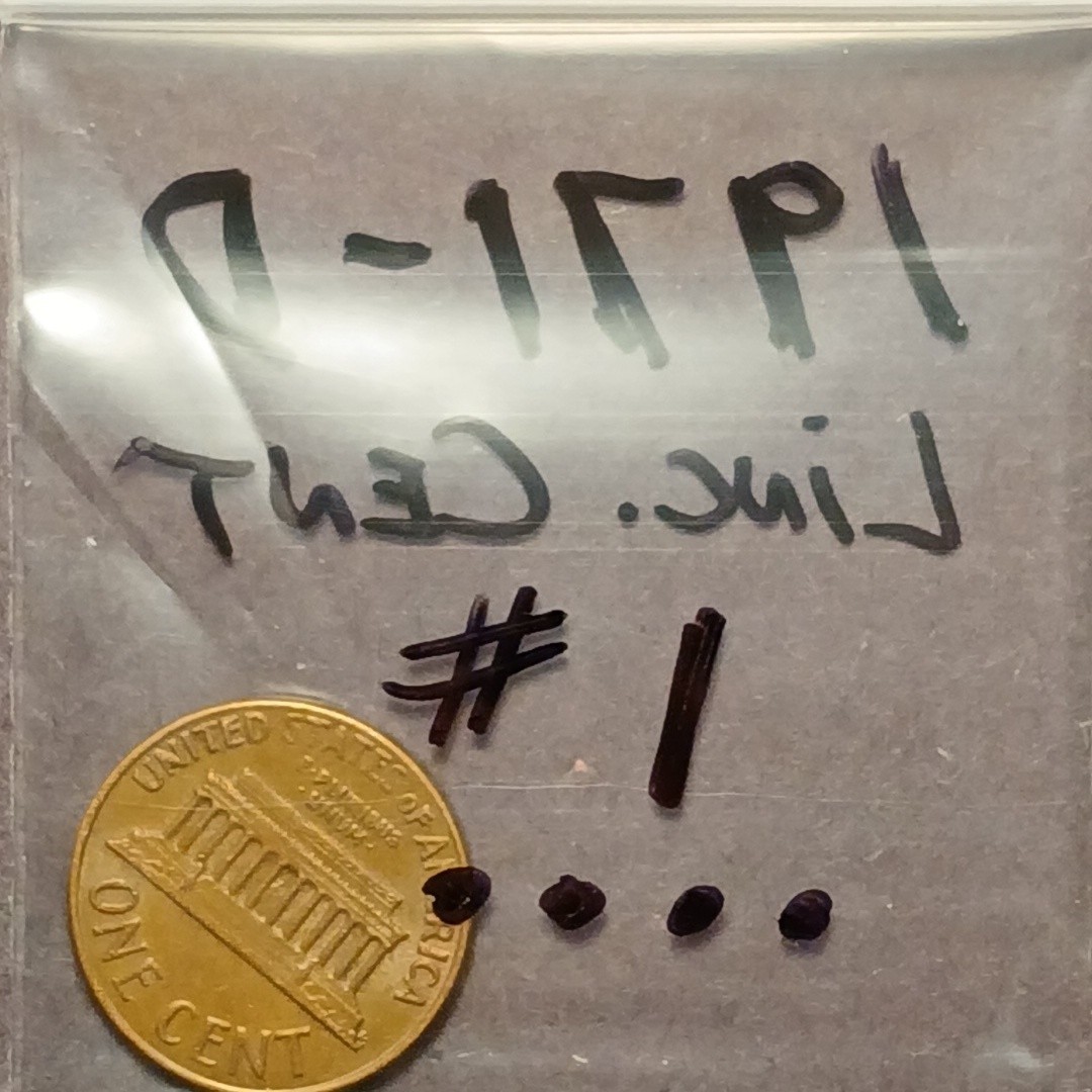 1971 D LINCOLN MEMORIAL CENT