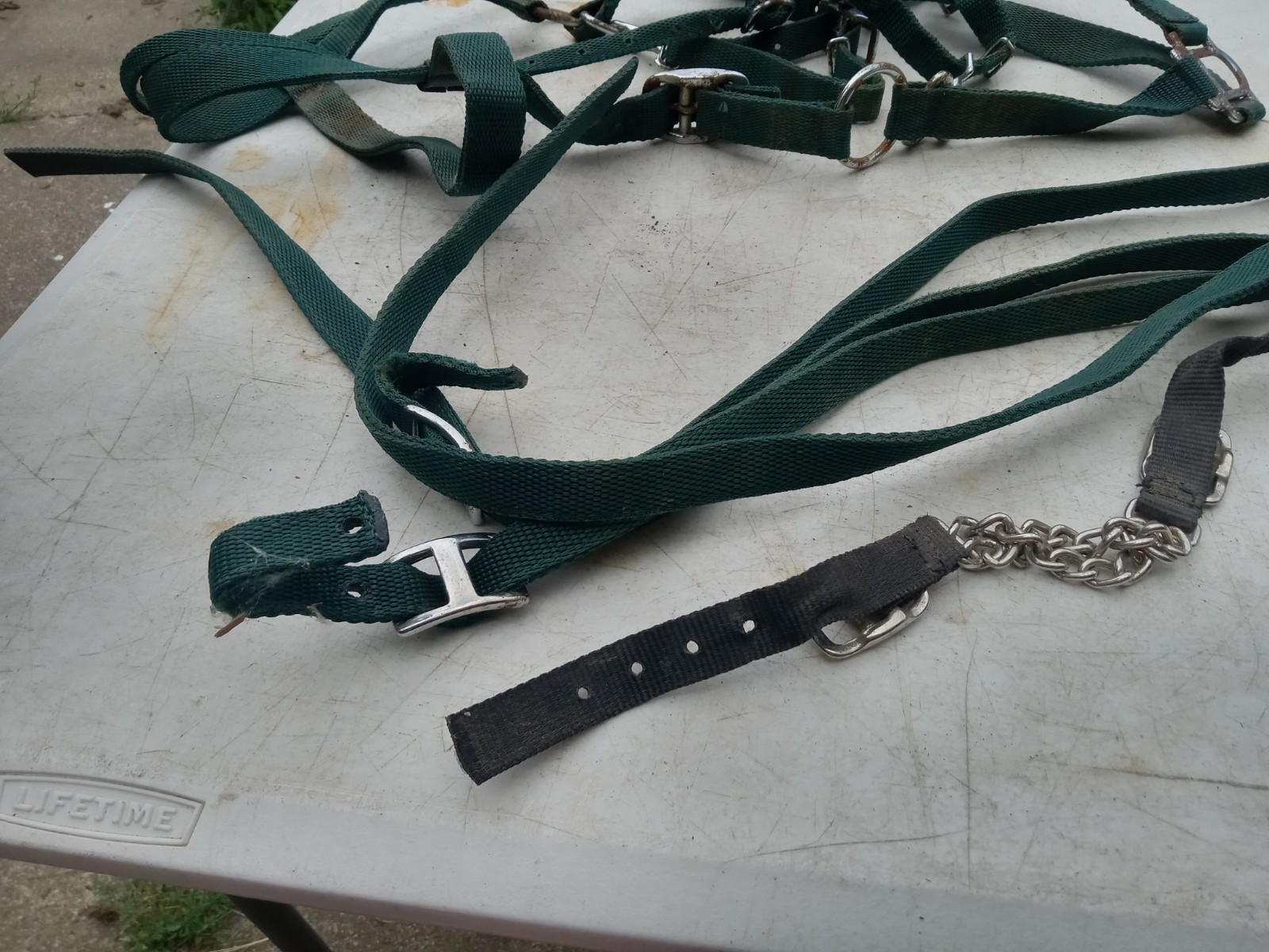 used nylon Western Bridle halter combination