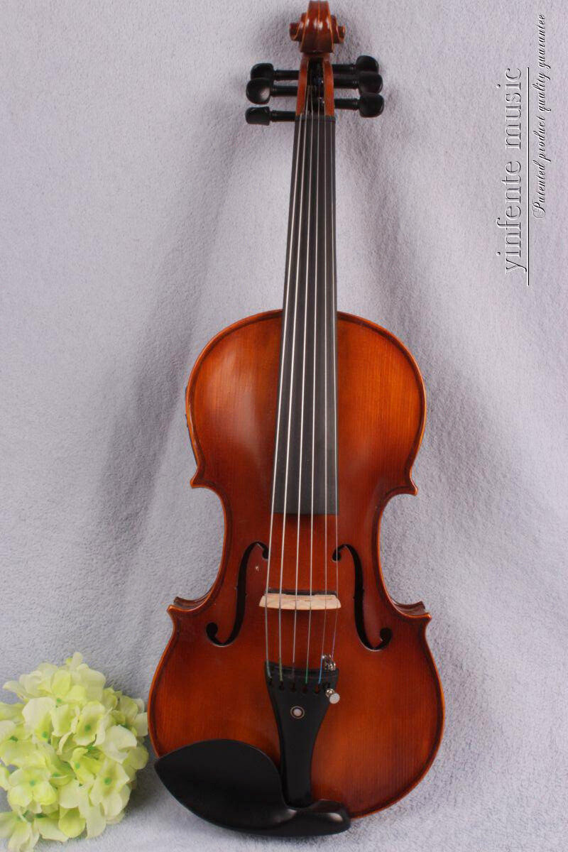 6 String Advance Electric Violin Acoustic 4/4 Spruce maple Free Case Brown