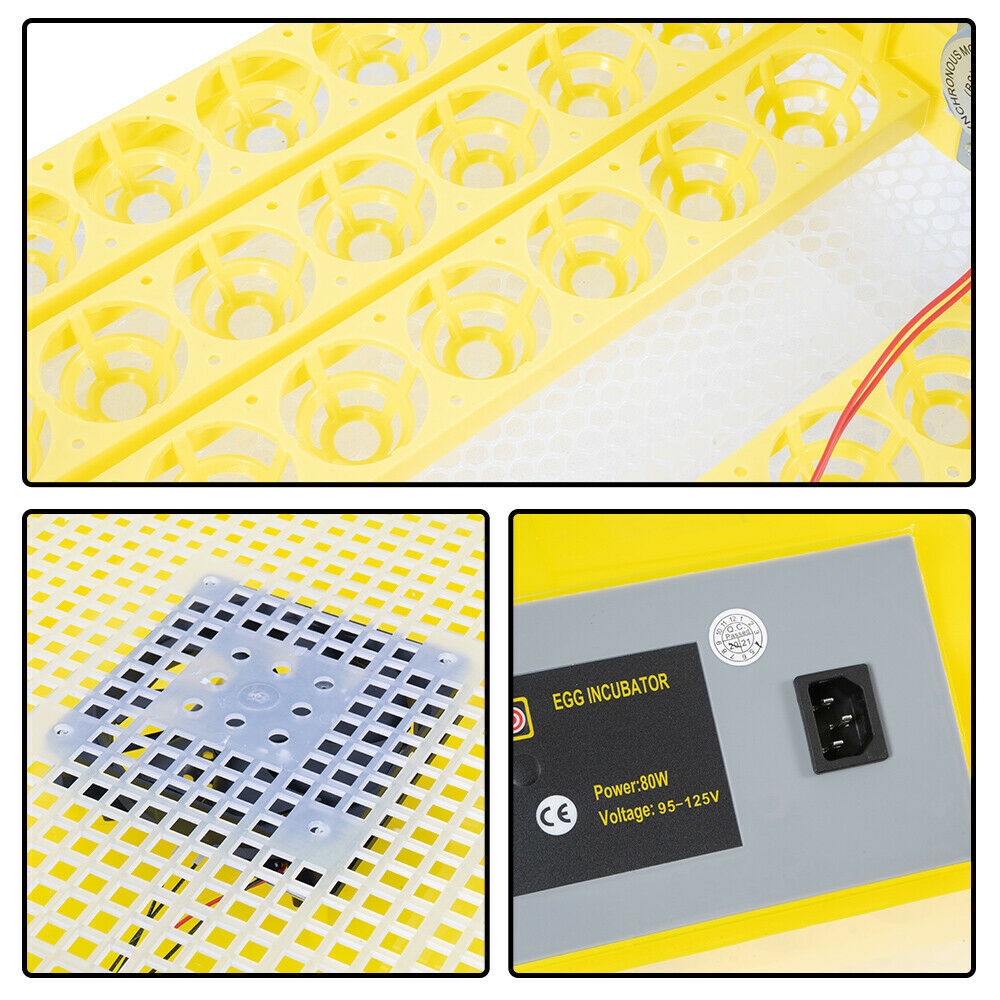 For 48 Digital Egg Incubator Hatcher Automatic Egg Turning Temperature Control