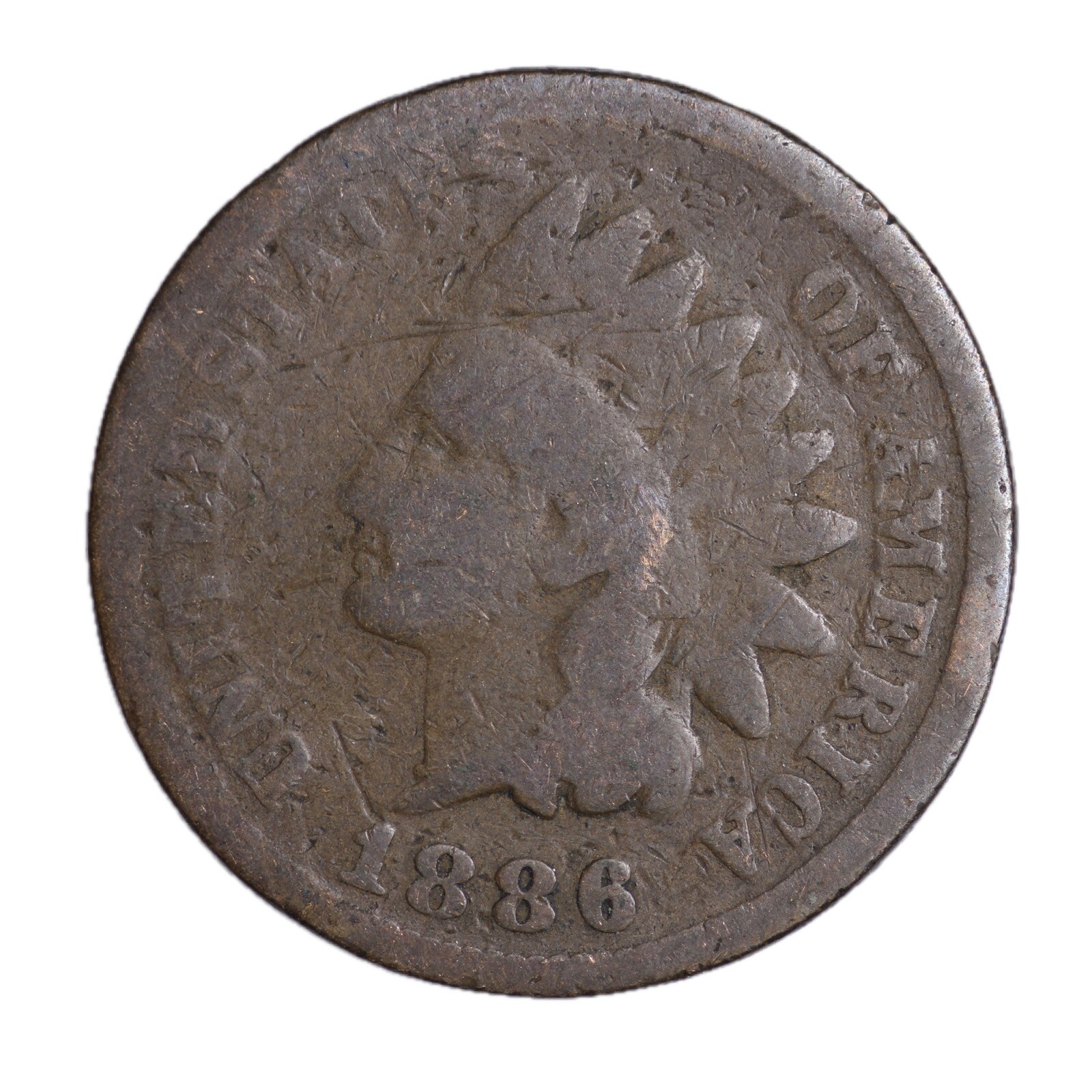 1886 TYPE 1 FULL DATE Indian Head Cent Penny KEY DATE  AVERAGE CIRCULATED