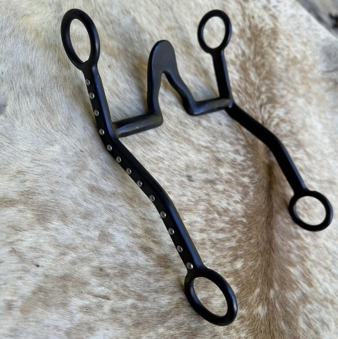 Black Steel 5” Cathedral Port Mouth Silver Dot Cheeks Horse Bit FREE SHIPPING