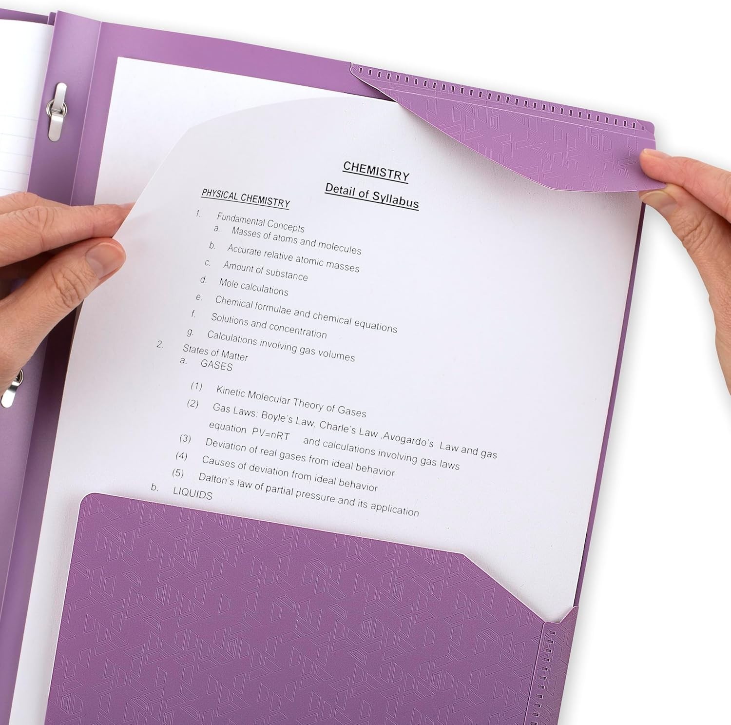 2-Pocket Folder, Plastic Folder with Stay-Put Tabs and Prong Fasteners, Holds...